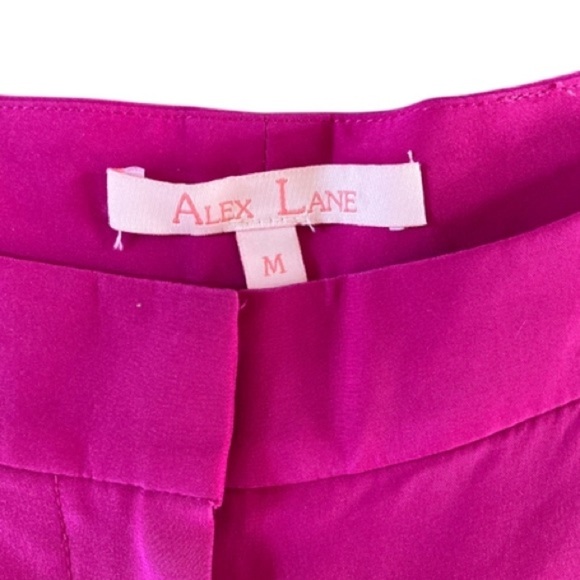 Alex Lane Silk Hot Pink Shorts Inverted Soft Bubble Hem pleating Made in NYC - Picture 6 of 8